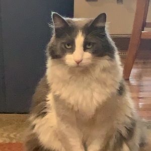 Meet your Posher, Courtney